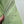 Stone Island Green Nylon Metal Watro Jacket