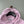 Stone Island Pink Hoodie