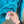 C.P. Company Aqua Blue Soft Shell Jacket