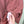 Stone Island Burnt Orange Naslan Smock Jumper