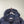 Stone Island Navy Crinkle Reps Down Jacket