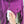 Stone Island Purple Soft Shell Jacket