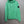 Stone Island Green Hoodie