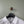 Stone Island White Slim Fit Polo