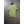 Stone Island Pistachio T-Shirt