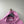 Stone Island Pink Hoodie