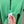 Stone Island Green 1/4 Zip Jumper