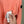 Stone Island Coral Jumper