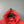 Stone Island Coral Hoodie