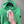 Stone Island Green Hoodie
