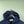 Stone Island Navy Soft Shell Jacket